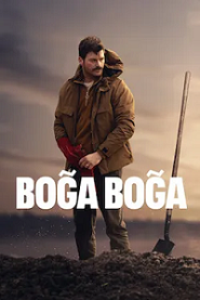 Boğa Boğa